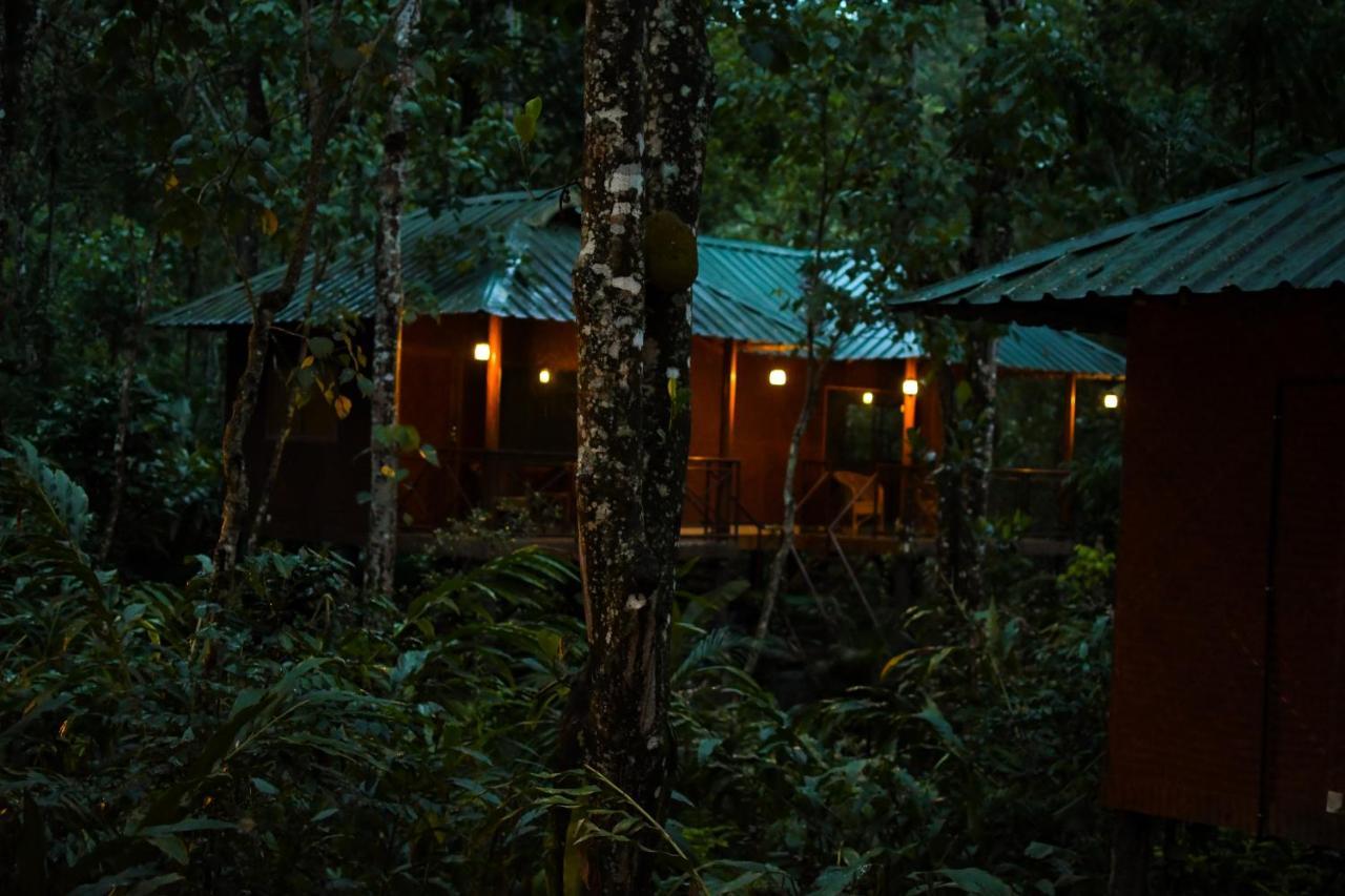 Monsoon Retreats Ecostay- Treehouse Thekkady Ngoại thất bức ảnh
