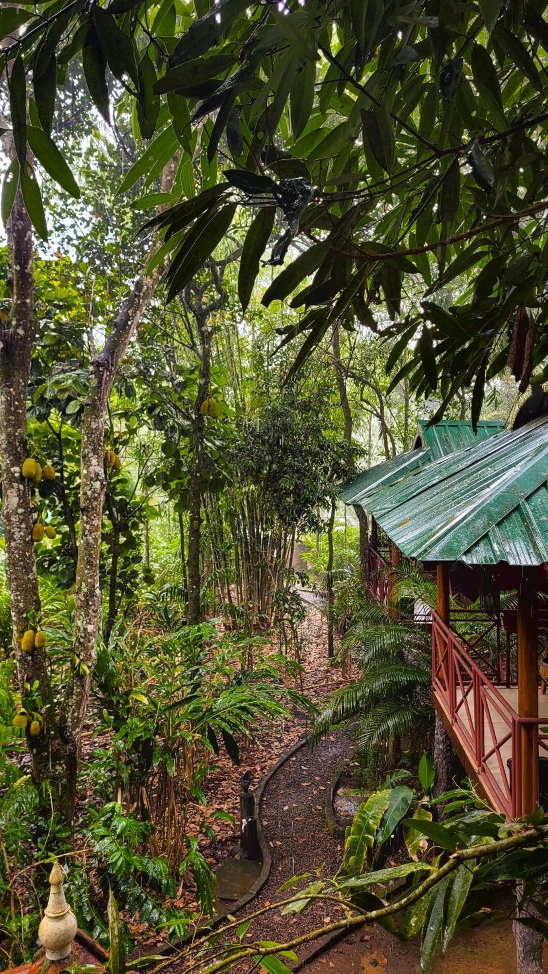 Monsoon Retreats Ecostay- Treehouse Thekkady Ngoại thất bức ảnh