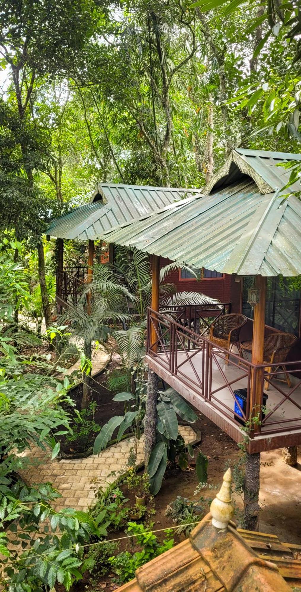 Monsoon Retreats Ecostay- Treehouse Thekkady Ngoại thất bức ảnh
