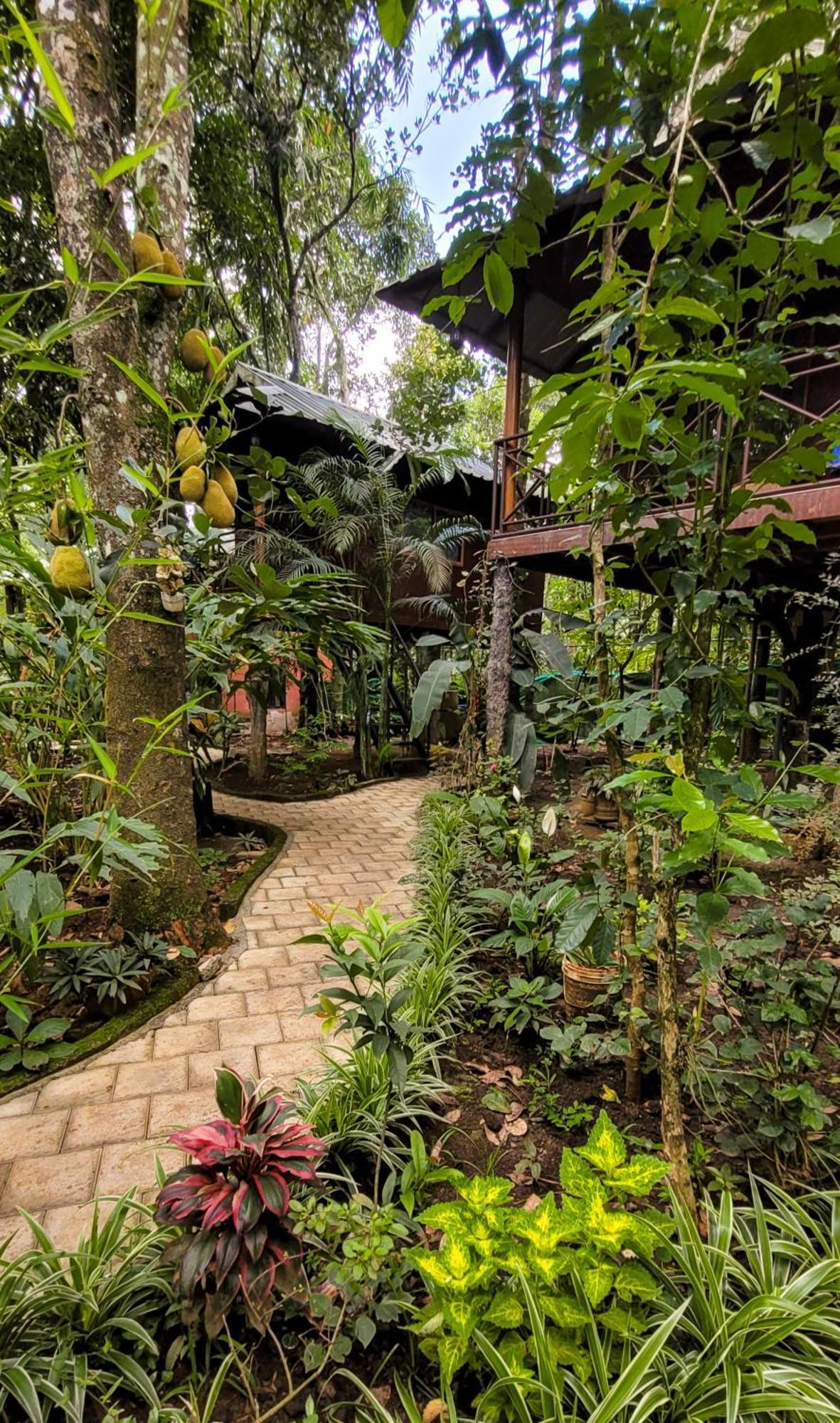 Monsoon Retreats Ecostay- Treehouse Thekkady Ngoại thất bức ảnh