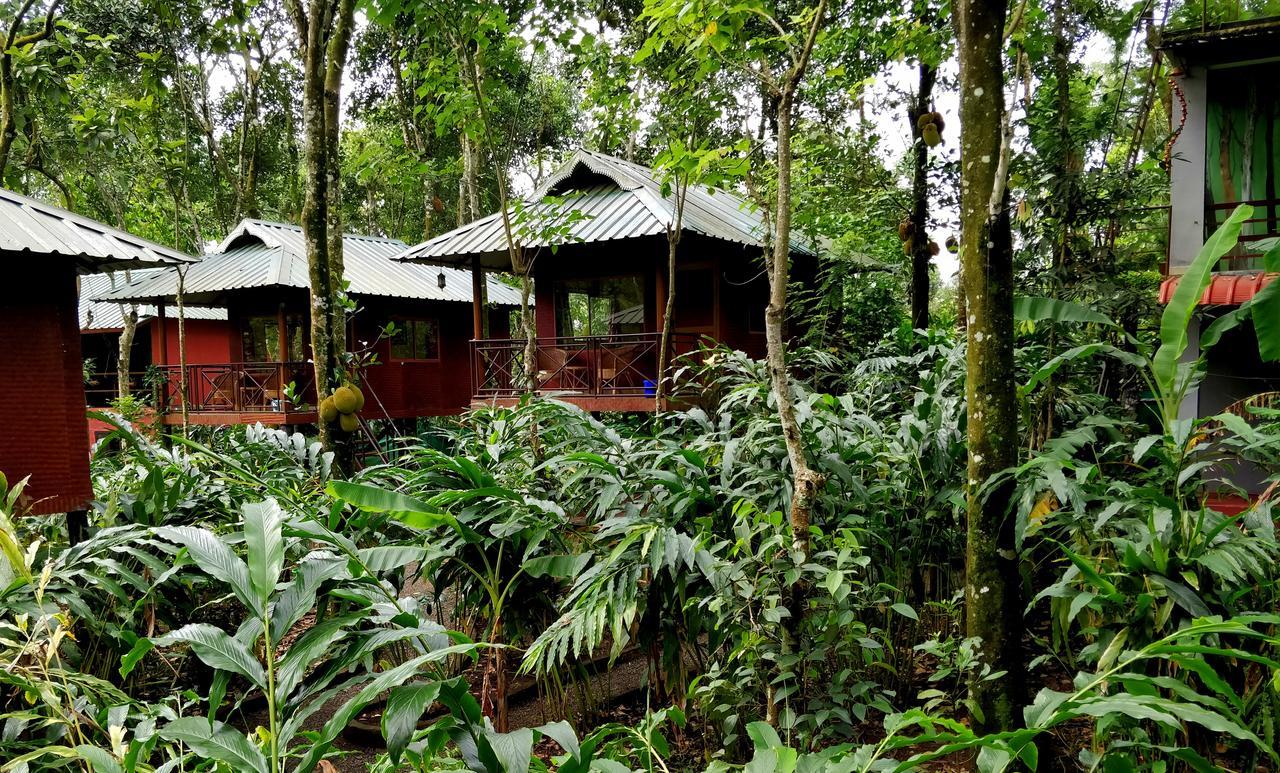 Monsoon Retreats Ecostay- Treehouse Thekkady Ngoại thất bức ảnh