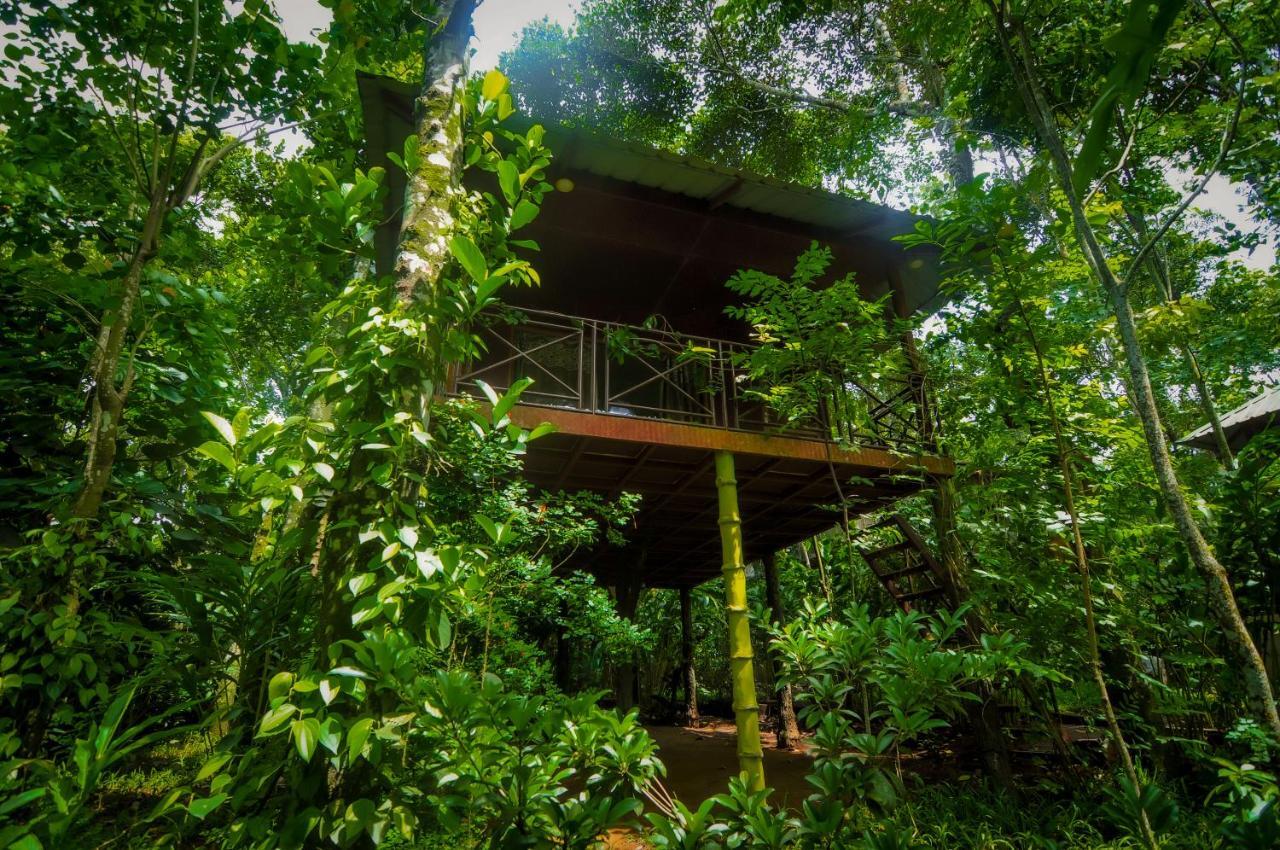 Monsoon Retreats Ecostay- Treehouse Thekkady Ngoại thất bức ảnh